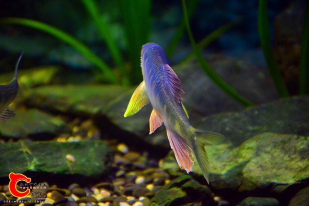 DSC_3442.JPG