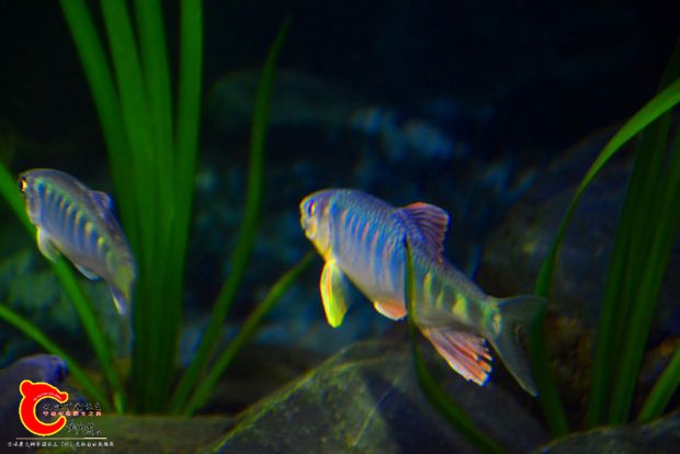 DSC_3443.JPG