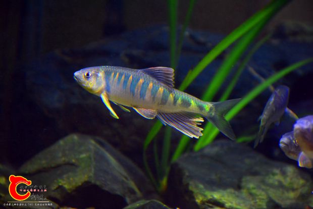 DSC_3446.JPG