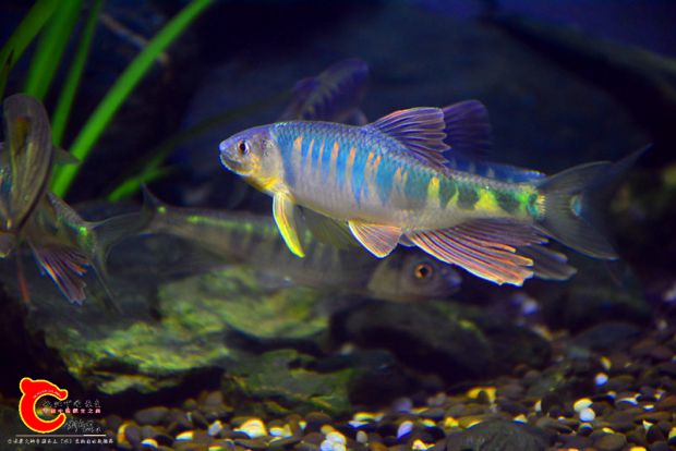 DSC_3448.JPG