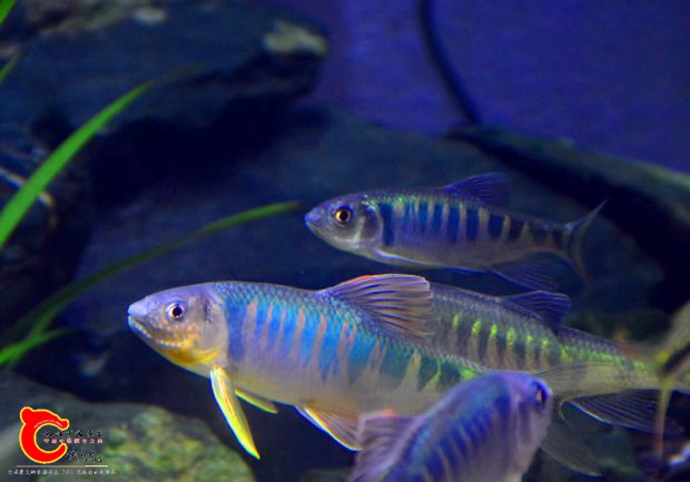 DSC_3451.JPG