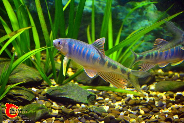 DSC_3455.JPG