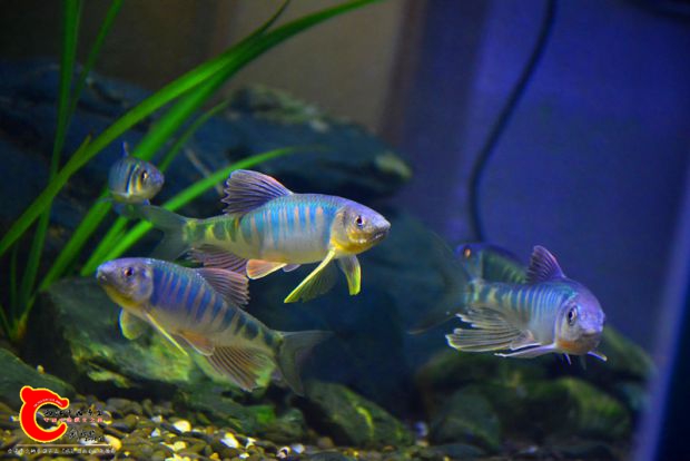DSC_3457.JPG
