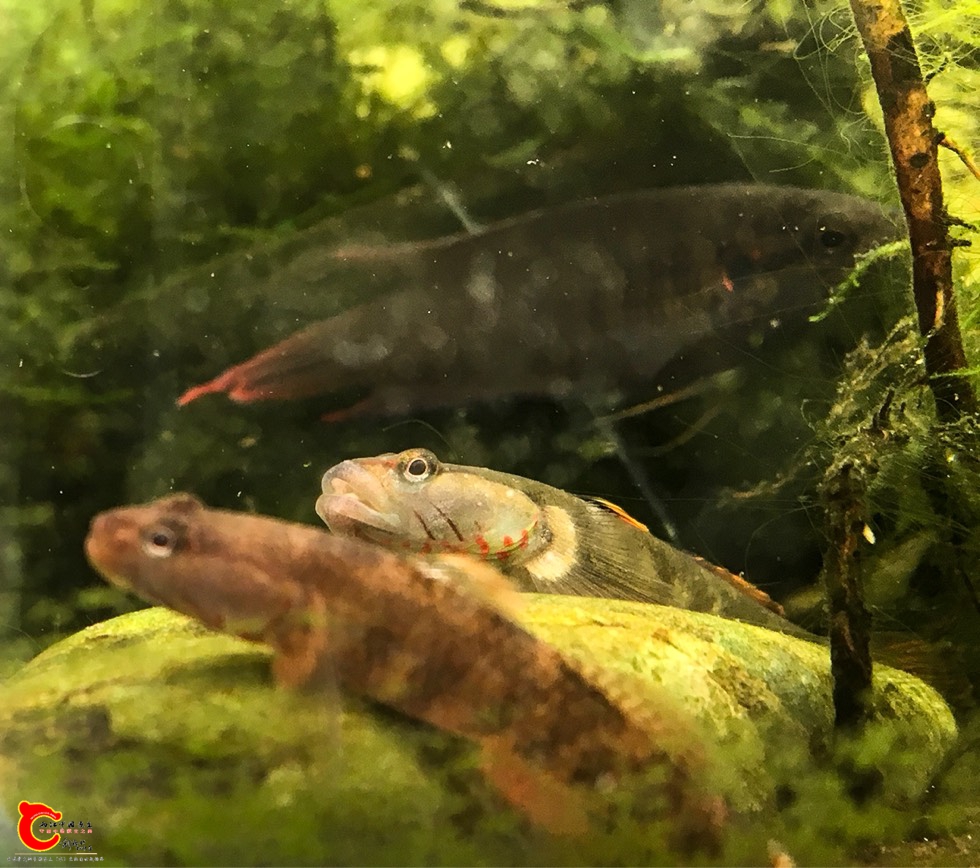 120847k136dqr9sm1rmtqq.jpg