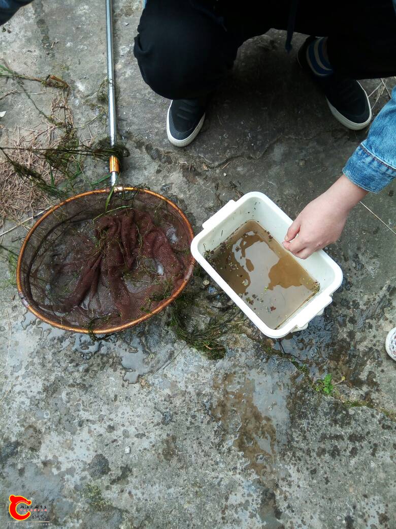 164155qzrbkr0kkdrbonnw.jpg