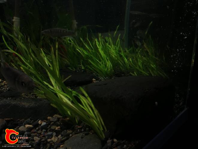 105209xle717v5d7kfd51n.jpg