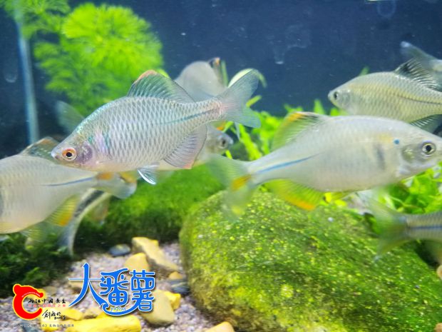 QQ图片20171102183733.jpg