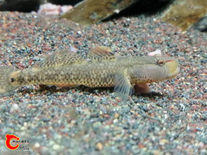 202714l44oxfpuhp9ooalu.jpg