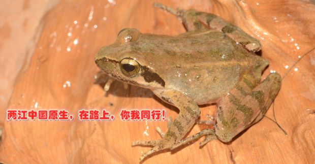 微信图片_20171106223812_副本_副本.jpg