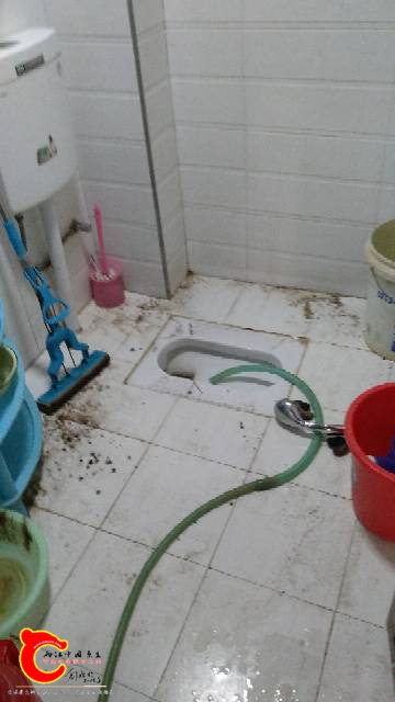 172302mqbbk7ybht3bq8km.jpg
