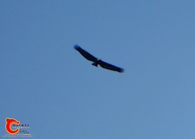DSC04956.JPG