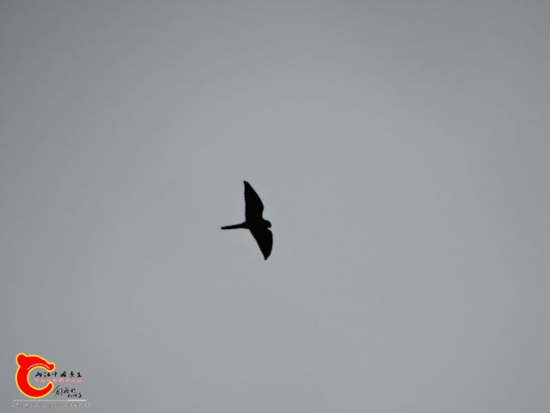 DSC04890.JPG