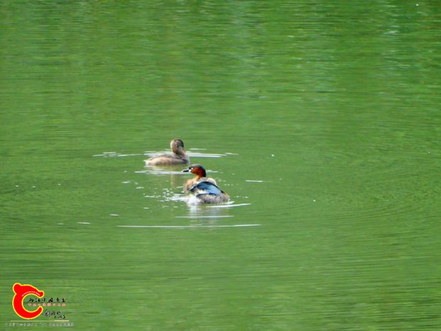 DSC04921.JPG