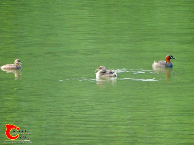 DSC04925.JPG