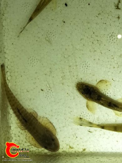 微信图片_20171113150603.jpg