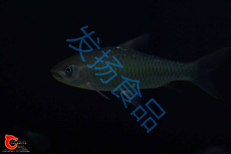 180033mmshdh2hu5zjhwml.jpg