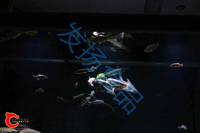 180258nb89yjryzdgmsc3r.png