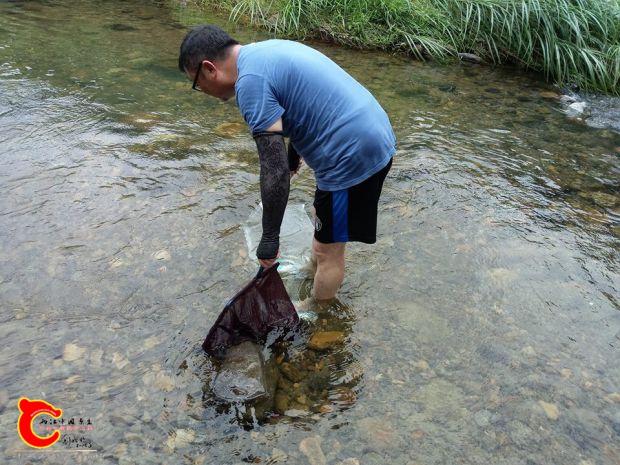 主要是帶孩子來玩水所以沒有太複雜的裝備，只有車上隨時都有準備的兩支撈網穿雙拖鞋就下水了
