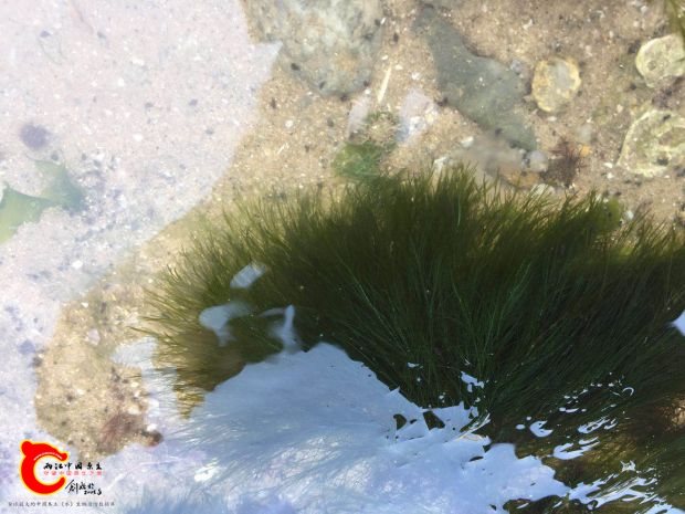 微信图片_20171115152135 - 副本 - 副本.jpg