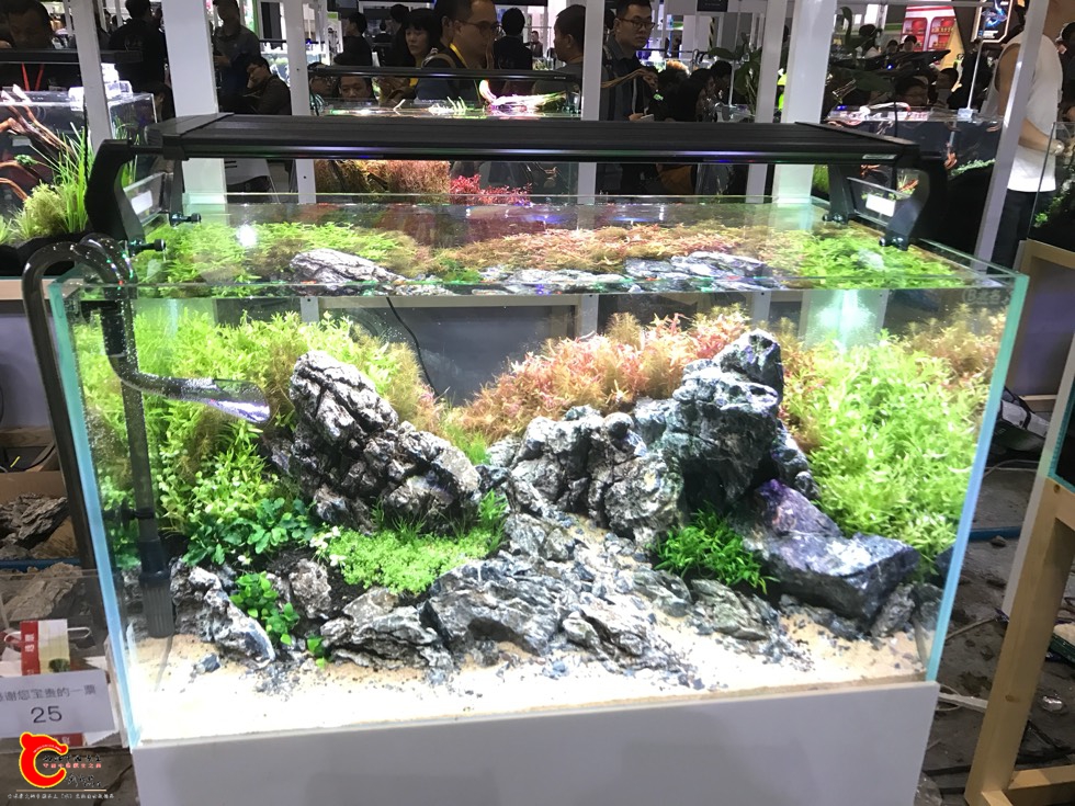 155541pe54545h05b51z22.jpg