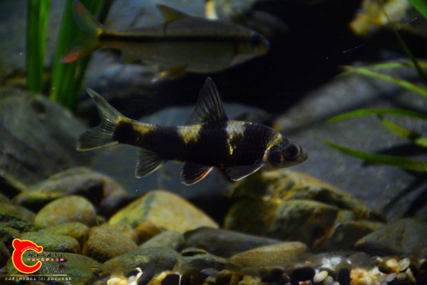 DSC_3488.JPG