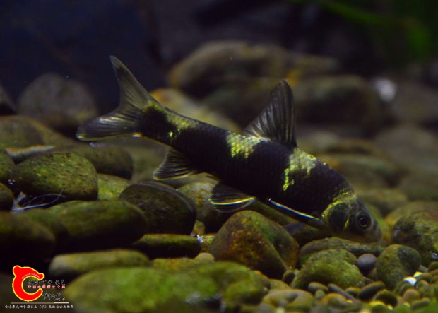 DSC_3492.JPG