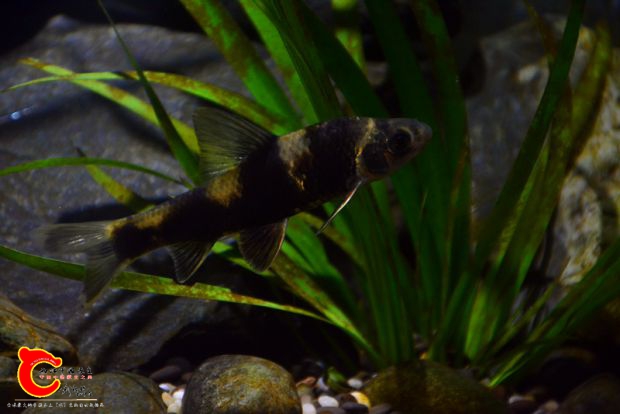 DSC_3494.JPG
