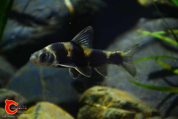 DSC_3495.JPG