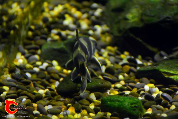 DSC_3499.JPG