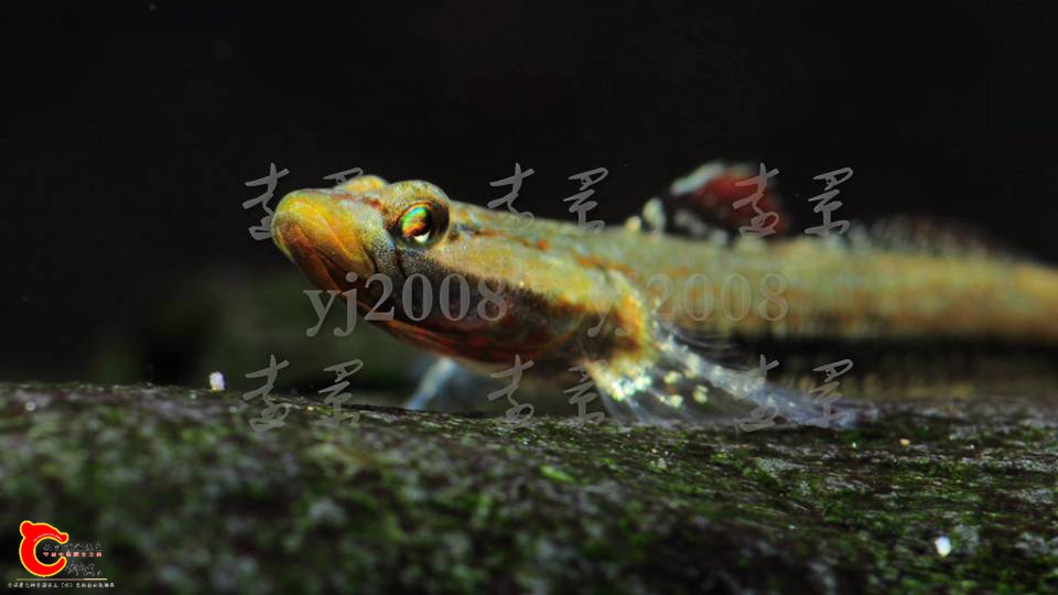 201308nh2khtj2o26f000m.png