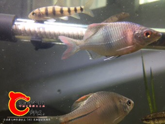 130429mpegiq046ghgeq6g.jpg