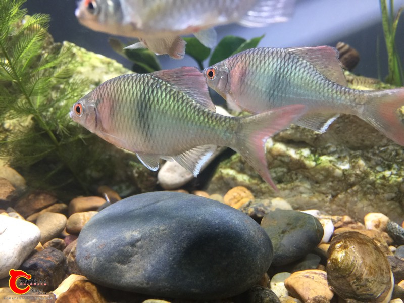 160119mrzstrnss21zz2f5.jpg