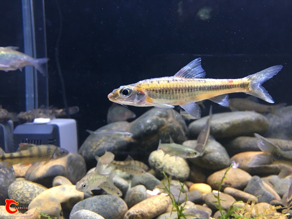 215718ybm2ec1j1lrj21cp.jpg