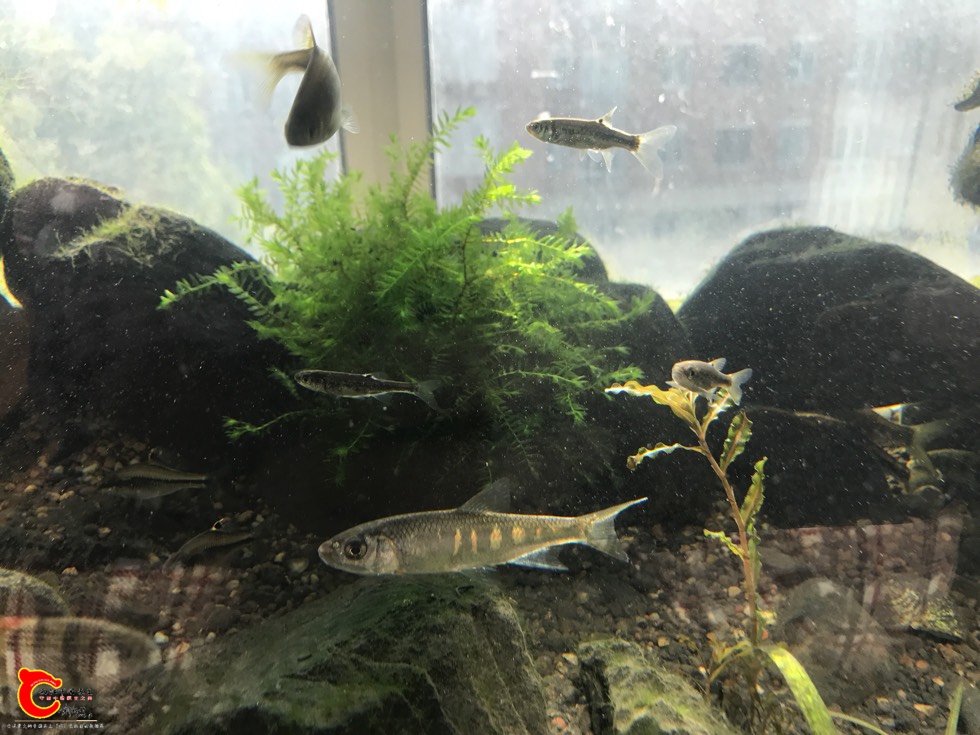 135028i5lb5vyx4mx1v44m.jpg