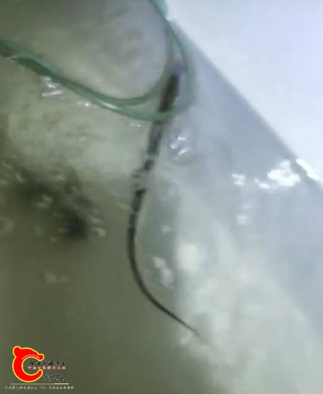 102709rc44ylhyapz6cpya.jpg
