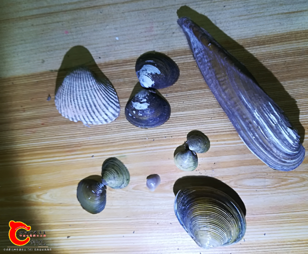 360截图16570213105104124.png