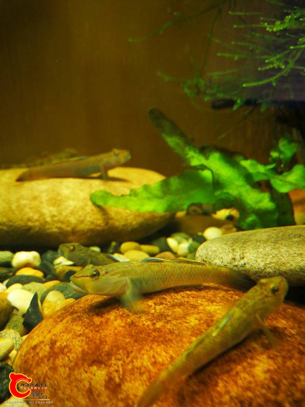 201515l1wk0r96lr3rzg63.jpg