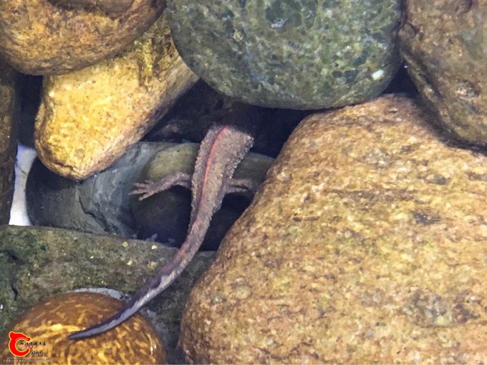 203058yodnboa9nojog59u.jpg