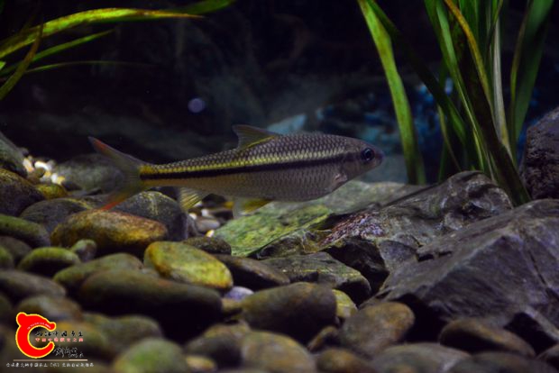DSC_3480.JPG