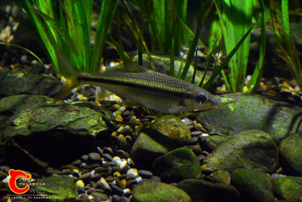 DSC_3484.JPG