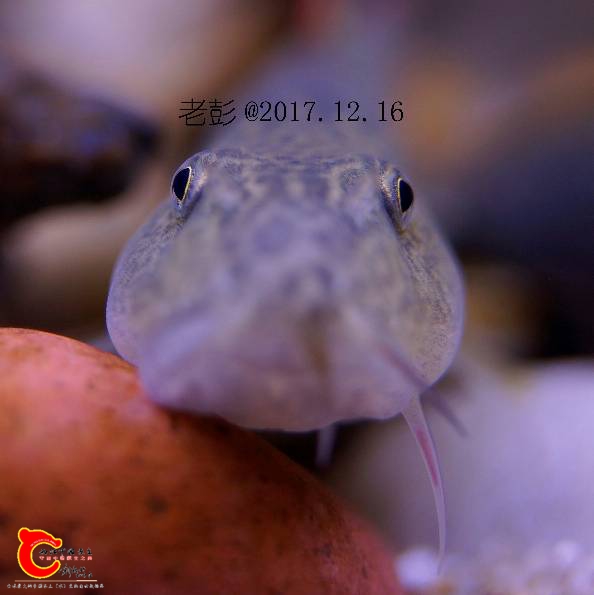 125843yeekvyx7yzj3kukx.jpg