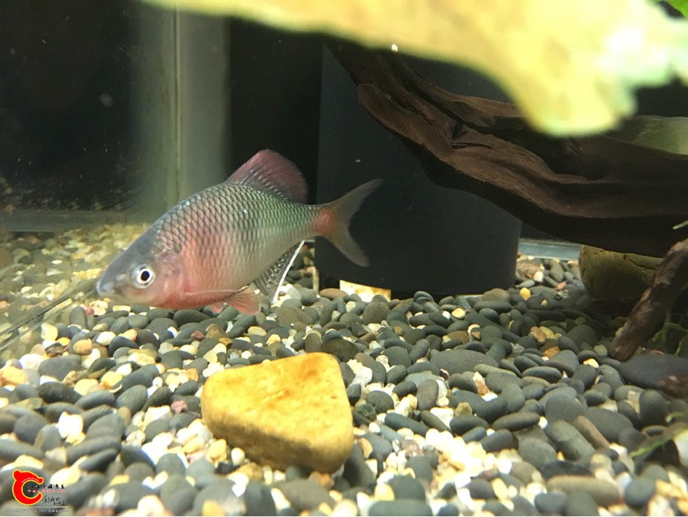 181401udxz9jb3mf61d1d9.jpg