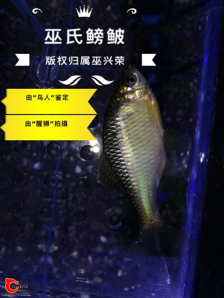 012149cikppr9zi9ig88s6.jpg