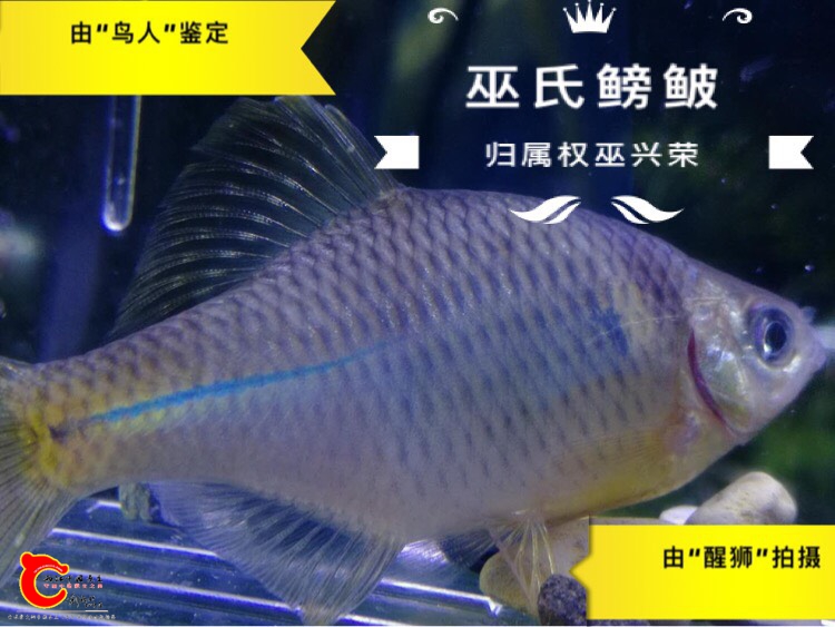 012152qq9ypelkhhhp459j.jpg