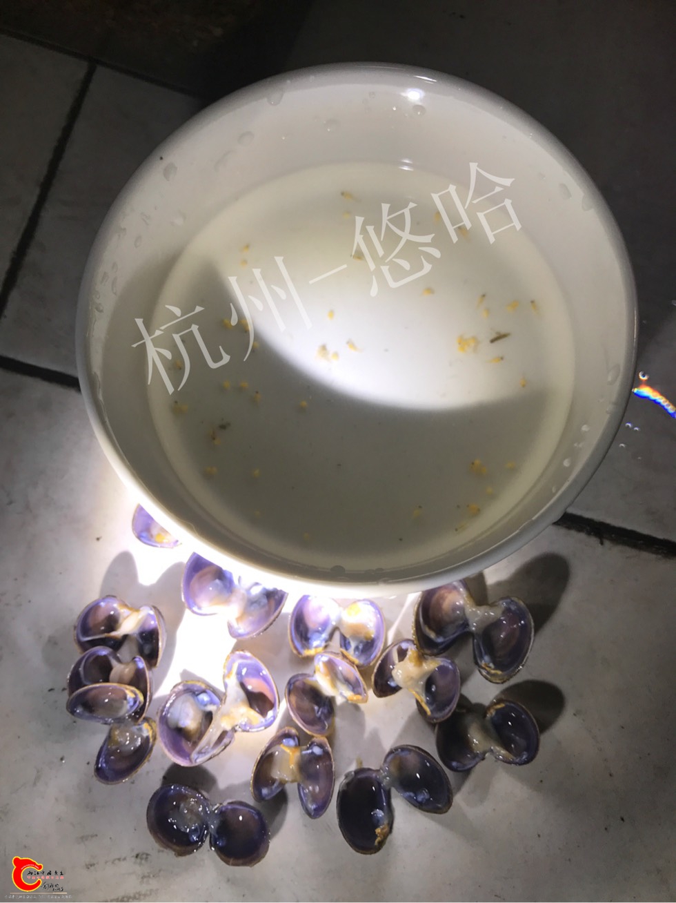131018obf4k1bz99bb00fp.jpg