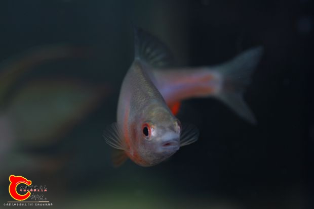 IMG_2538 副本.jpg