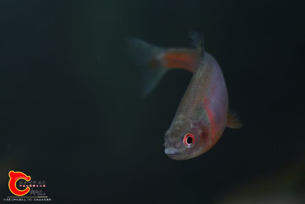 IMG_2553 副本.jpg