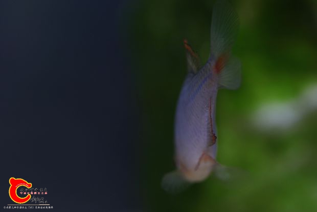 IMG_2601 副本.jpg