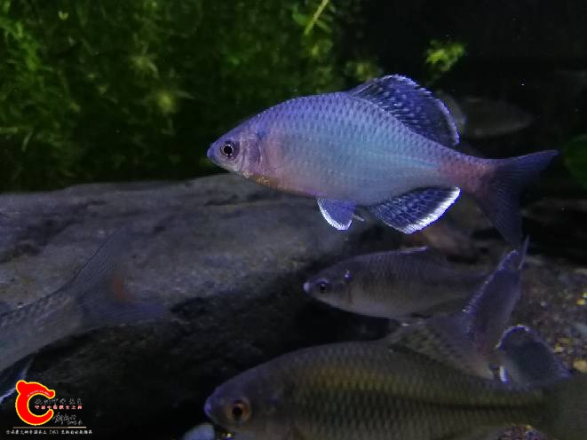 105232u005aj6y5cv84gaj.jpg