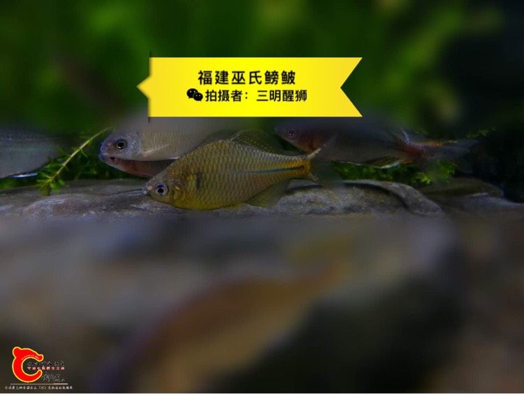 132849d7wz0zhi1h71dlwr.jpg